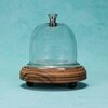 Ireka Homes Candy Glow Acacia Wood Cake Stand with Glass Dome
