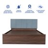 Yantra Engineered Wood Queen  Size Bed With Box Storage (Walnut Finish)