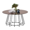 Scandinavian Cyrus Round Coffee Table Matte Black Finish