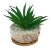 Artificial Fern Plant In A Patterned Ceramic Pot With A Wooden Plate