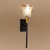 Devansh Metal Electric Wall Light in black Colour with Lavender Shade Count of 1 Light