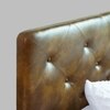 Chestnut Bed With Premium Leatherette Fabric And Hydraulic Storage - Queen Bed