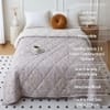 Beige Floral Comforter Quilted Reversible Cotton 350 Gsm Double Bed 240 X 220 Cms