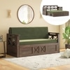 Bram 3 Seater Sofa Cum Bed in Danish Walnut Finish with Moss Green Colour