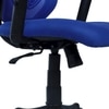 Zeeazyana Mid Back Ergonomic Chair in Blue Colour