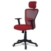 Dreaceo High Back Ergonomic Chair in Red Colour