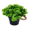 Artificial Green Eucalyptus Plant With A Rope Tied To Pot For Interior Decor
