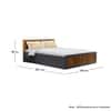 Hexa Engineered Wood Modern Queen Bed With Headboard With Storage In Slate Grey And Giant Wood
