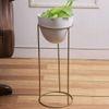 Pandora Planter Pot with stand