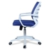 Iinea Mid Back Ergonomic Chair in Blue Colour