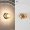 Carter Shine Brass & Amber finish Wall Light