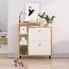 Hexa Red Engineered Wood Shoe Rack in Giant Wood and Frosty White Colour