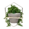 Prism Gold Hanging Planter
