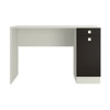 Celestia Study Desk with Shuttered Cabinet and Drawer in Carbon Black Colour