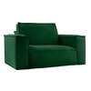 Skult Pull Out Sofa cum Bed in Green Colour
