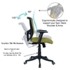 Peacifice Mid Back Ergonomic Chair in Pearl Green Colour