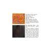 Rosslyn Solid Wood Pouf Stool in Bird Print Orange Ethnic Kantha fabric