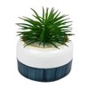 Pristine And Awe-Struck Indoor Faux Plant With Dual Shade Ceramic Pot