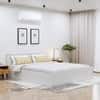 Hexa Engineered Wood Modern Queen Bed With Headboard With Storage In Frosty White
