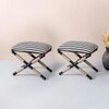 Zebra Fabric Jute Metallic Stool in Black & White Color Set of 2