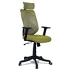 Zeeazyana High Back Ergonomic Chair in Pearl Green Colour