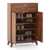 Webster 15 Pair Shoe Rack With Drawer in Sheesham Finish