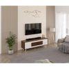Mayrone Engineering Wood TV Entertainment Unit Set Top Box Stand/TV Cabinet/Chest of Drawers with Storage Shelves for Books & Decor Display Unit Upto 60 Inches (Brown Maple & Frosty)