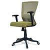 Ebeaony Mid Back Ergonomic Chair in Pearl Green Colour