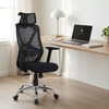 Align X Ergonomic High Back Office Chair in Black Colour
