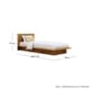 Hexa Engineered Wood Modern Single Bed With Headboard Without Storage In Giant Wood