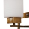 Eliante Modern Wall Lights Glass, Mild Steel & Glass Material Antique & White Finish