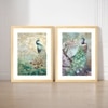 Peacock Set of 2 Framed Posters Vastu Feng Shui Wall Art 45x60 cm