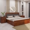 Vrinda Solid Wood Queen  Size Bed With Hydraulic Storage (Honey Oak Finish)