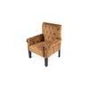 Arista Sheesham Wood Accent Chair