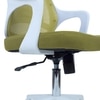 Xeanea Mid Back Ergonomic Chair in Pearl Green Colour