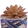 Sucullent Artificial Plant With Multicolored Stripes Along With Pot