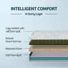 Kurlon Kurlobond Essential Mattress 5 inch Single Bonded Foam Mattress (L x W: 75 inch x 30 inch)