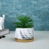 Artificial Succulent Plant In White Marble Effect Pot