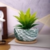 Artificial Aloe Vera Plant In A Patterned Ceramic Pot With A Wooden Plate