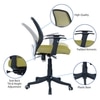 Xxeana Low Back Ergonomic Chair in Pearl Green Colour
