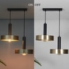 Giada 2 Light Matte Black and Brass Hanging Light