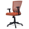 Ebeaony Mid Back Ergonomic Chair in Orange Colour