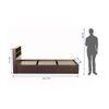Takeo Engineered Wood Single Bed In Walnut Finish