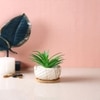 Artificial Fern Plant In A Patterned Ceramic Pot With A Wooden Plate