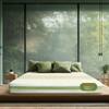 Prana - Organic Cotton Fabric Spring Mattress (75 x 72 in, 8 Inches)
