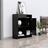 Hexa Red Multipurpose Storage Cabinet With 1 Drawer 1 Door in Flower Wenge Colour