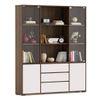 Iwaki Bookshelf with Glass Door