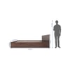 Ren Engineered Wood Queen  Size Bed With Box Storage (Walnut Finish)