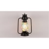 Cosette Multicolor Metal Wall Mounted Lantern Lamp