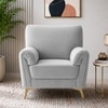 Osbert Velvet 1 Seater sofa in Grey color